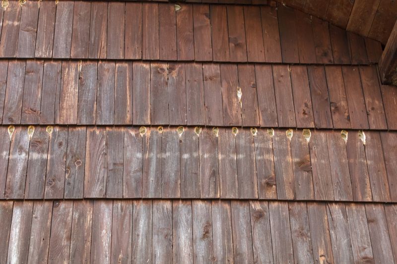 Wood Siding Repair