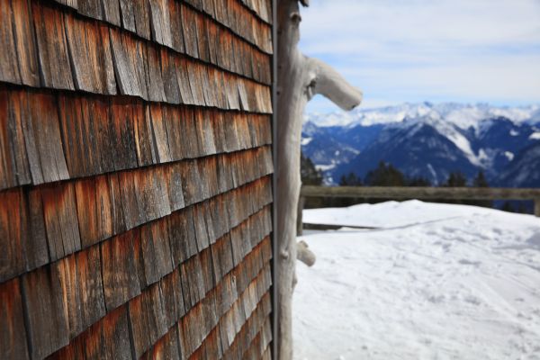 Cedar Siding Repair in Hamilton
