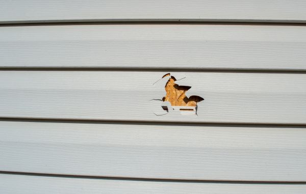 Siding Hole Repair in Hamilton